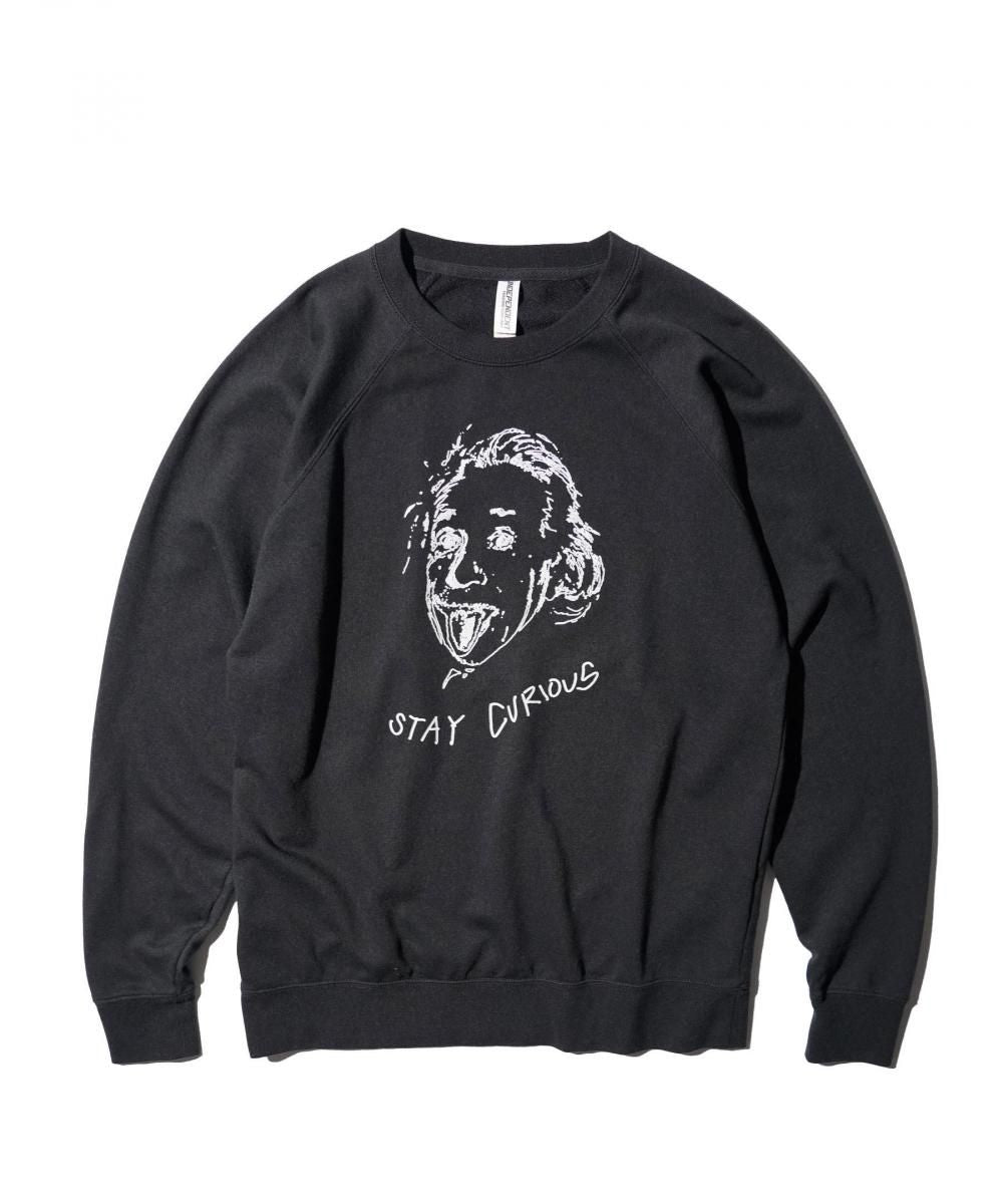 "STAY CURIOUS" RAGLAN CREW SWEAT