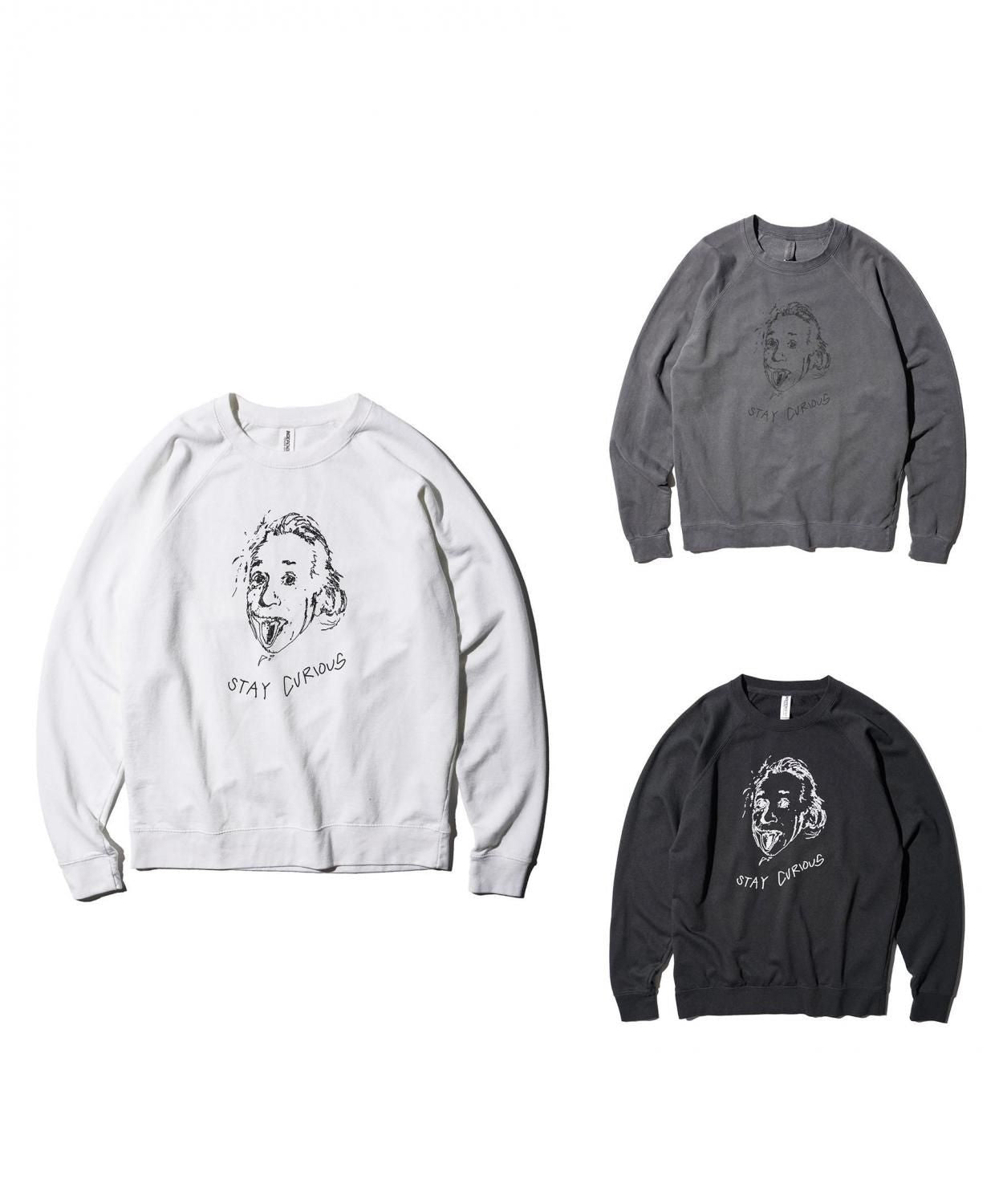 "STAY CURIOUS" RAGLAN CREW SWEAT