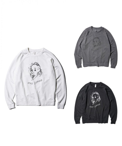 "STAY CURIOUS" RAGLAN CREW SWEAT
