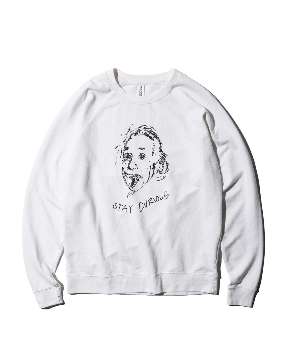 "STAY CURIOUS" RAGLAN CREW SWEAT
