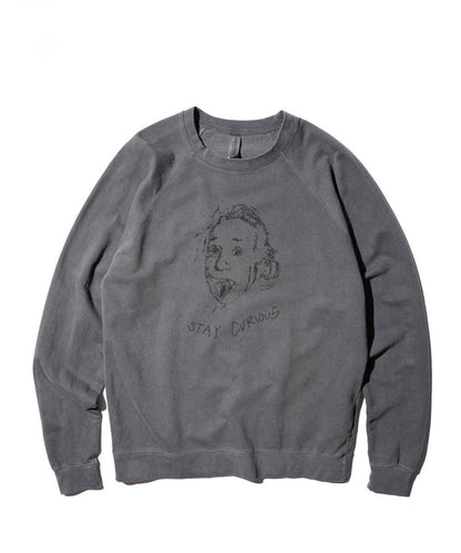 "STAY CURIOUS" RAGLAN CREW SWEAT